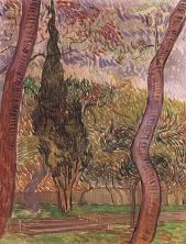 Haga click para ver la imagen ampliada 1889 jardin de l'haïpital saint-paul 1.jpg